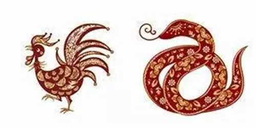 1、牛蛇屬相婚配破財嗎:屬蛇和屬牛能娶親嗎？辦不般配