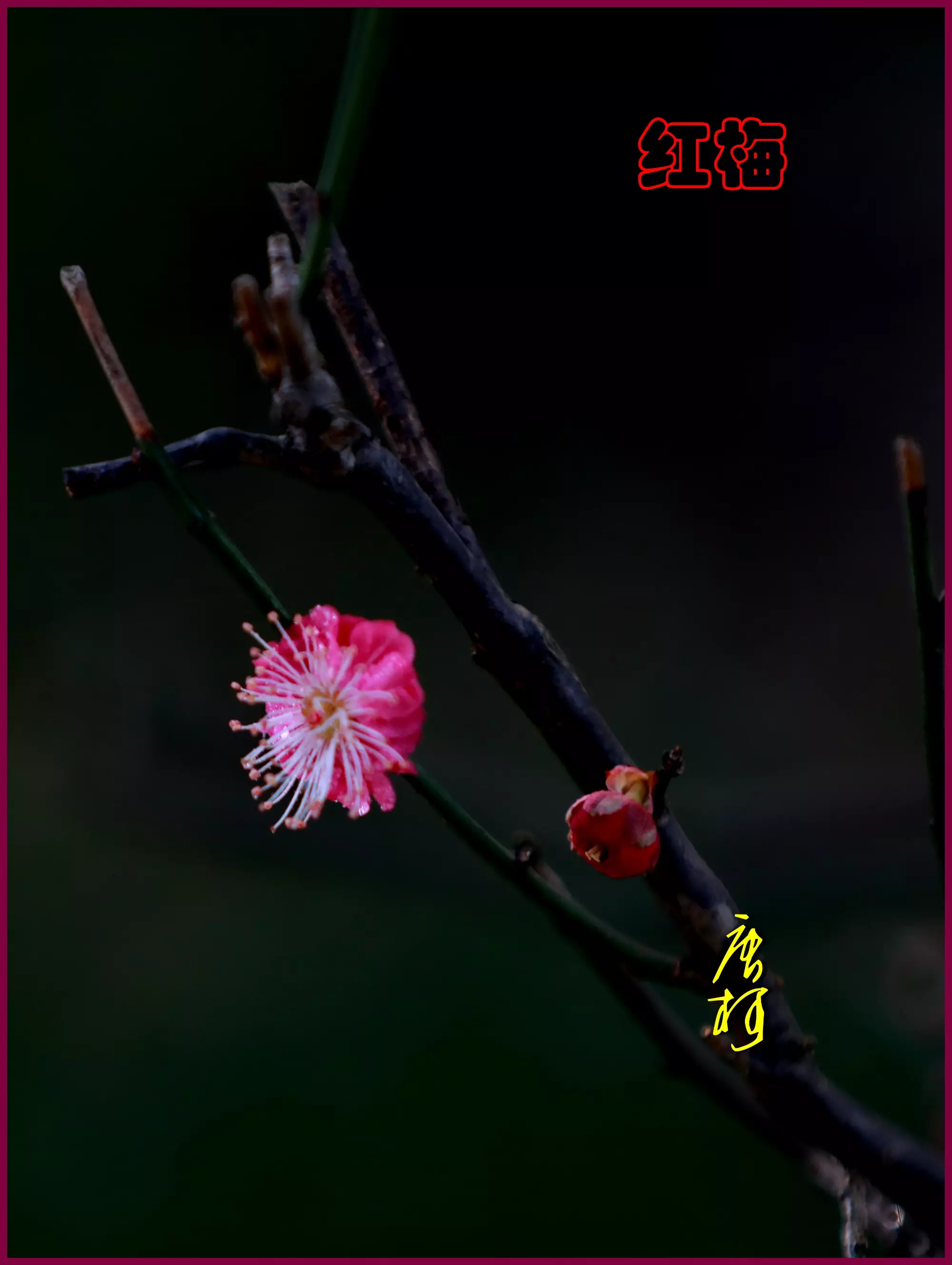 臘月23屬相：臘月二十三黃曆吉利嗎？