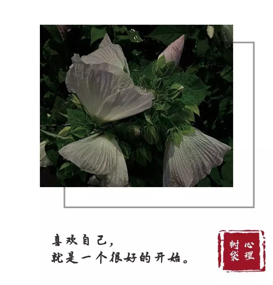 7、新浪婚姻樹測試:大家覺得新浪的婚姻樹准嗎