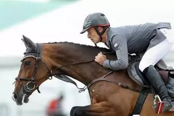 3、傳統算命男馬女狗婚配:屬相婚配：男屬馬和女屬狗相配嗎