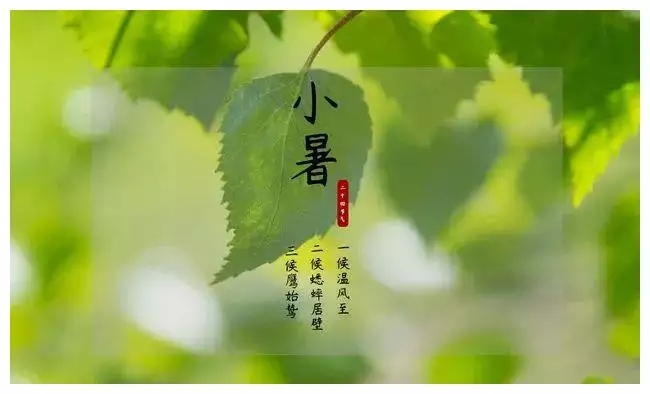 用手掌推算歲數和屬相的方式：怎麼用手指頭算歲數和屬相