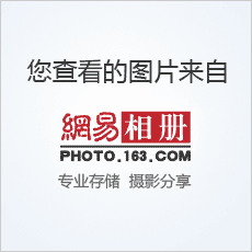 屬鼠生在三月命運怎麼樣：屬鼠三月十五齣生的人命運怎麼樣