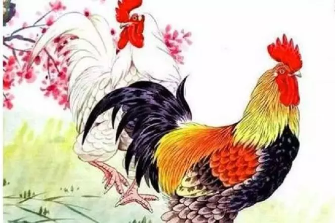 4、婚配屬相男屬羊女屬雞:屬和屬羊男婚配怎樣