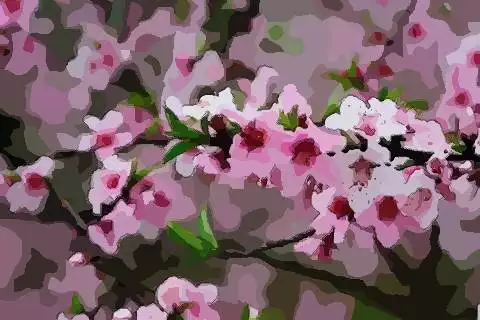 94年屬狗年桃花運：94年屬狗人結婚好不好