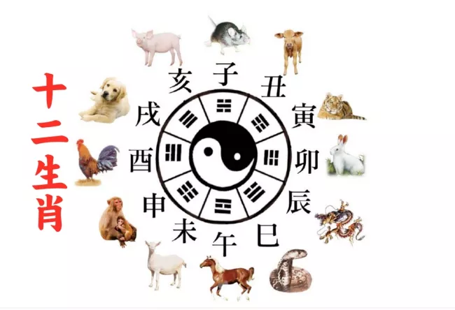 屬相天干地支怎麼算感情：十二生肖和十二天干的對應關係是怎樣的？