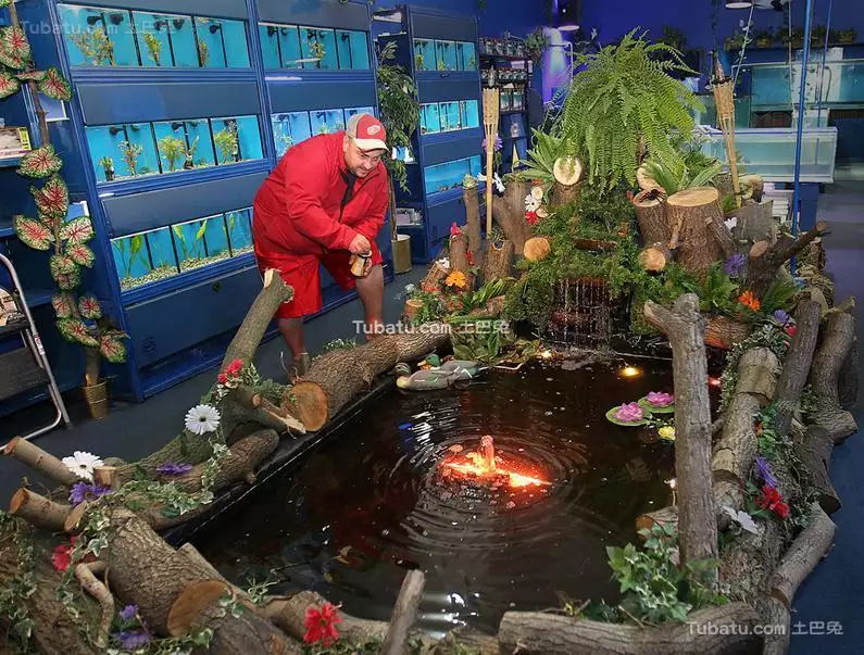 3、室內魚池設計圖片大全:家裡魚池怎麼裝修好看圖片