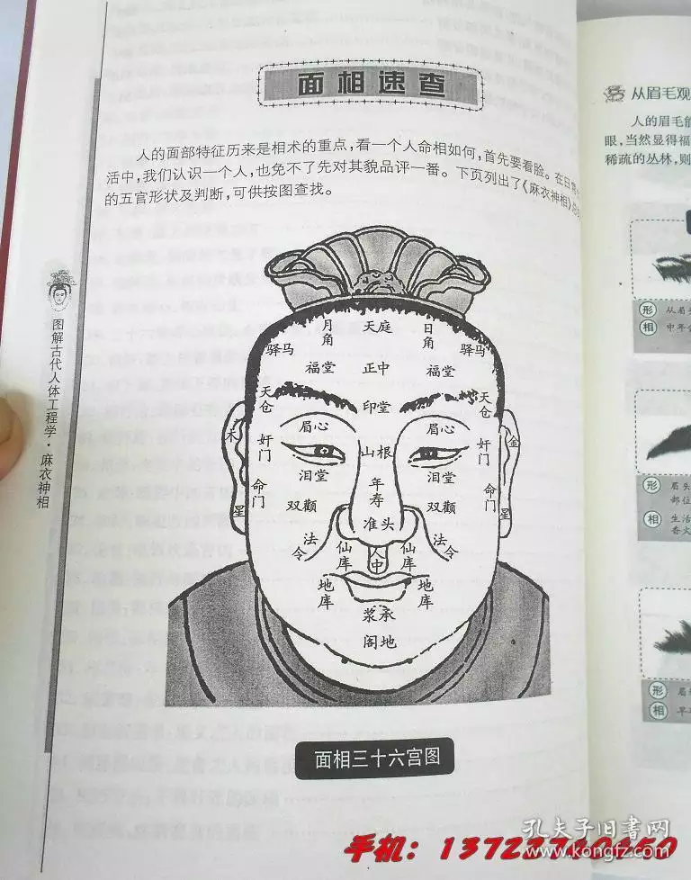 8、八字測另一半的相貌超准免費:八字如何預測配偶的長相