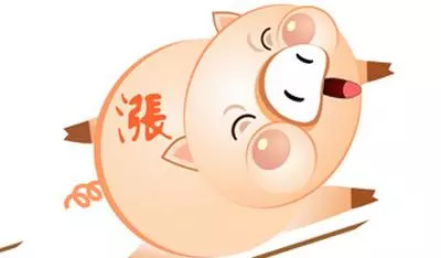 1、生於十二月豬人的婚配:屬豬的婚配是什麼屬相