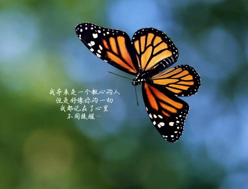 一到十愛情表白順口溜：一到十的順口溜 談戀愛