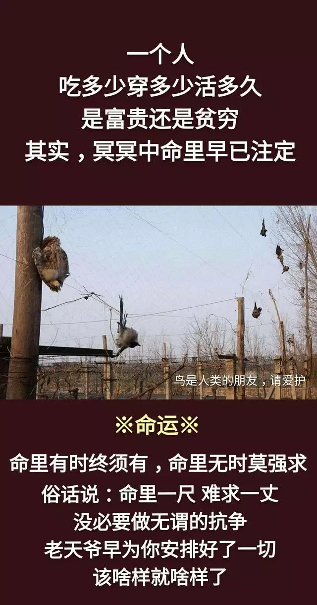 命里有兒有女是註定的嗎：大家相信生男生女是命中註定的事嗎