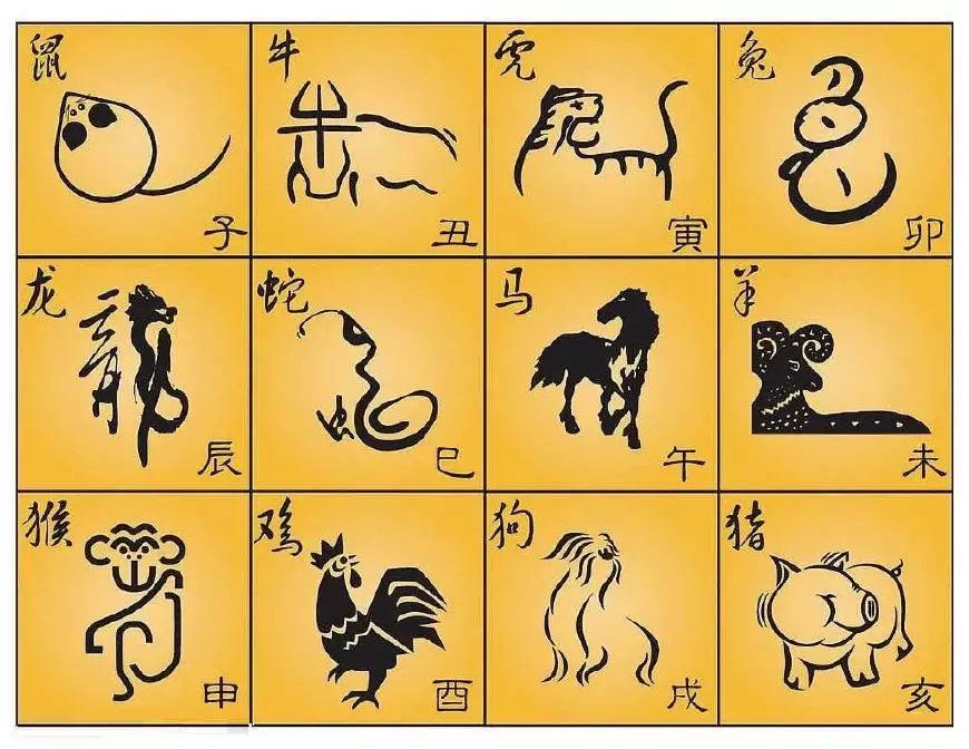 屬相按寅牟丑怎麼清掃：猜不出個子丑寅卯十二生肖內里是什麼意思啊
