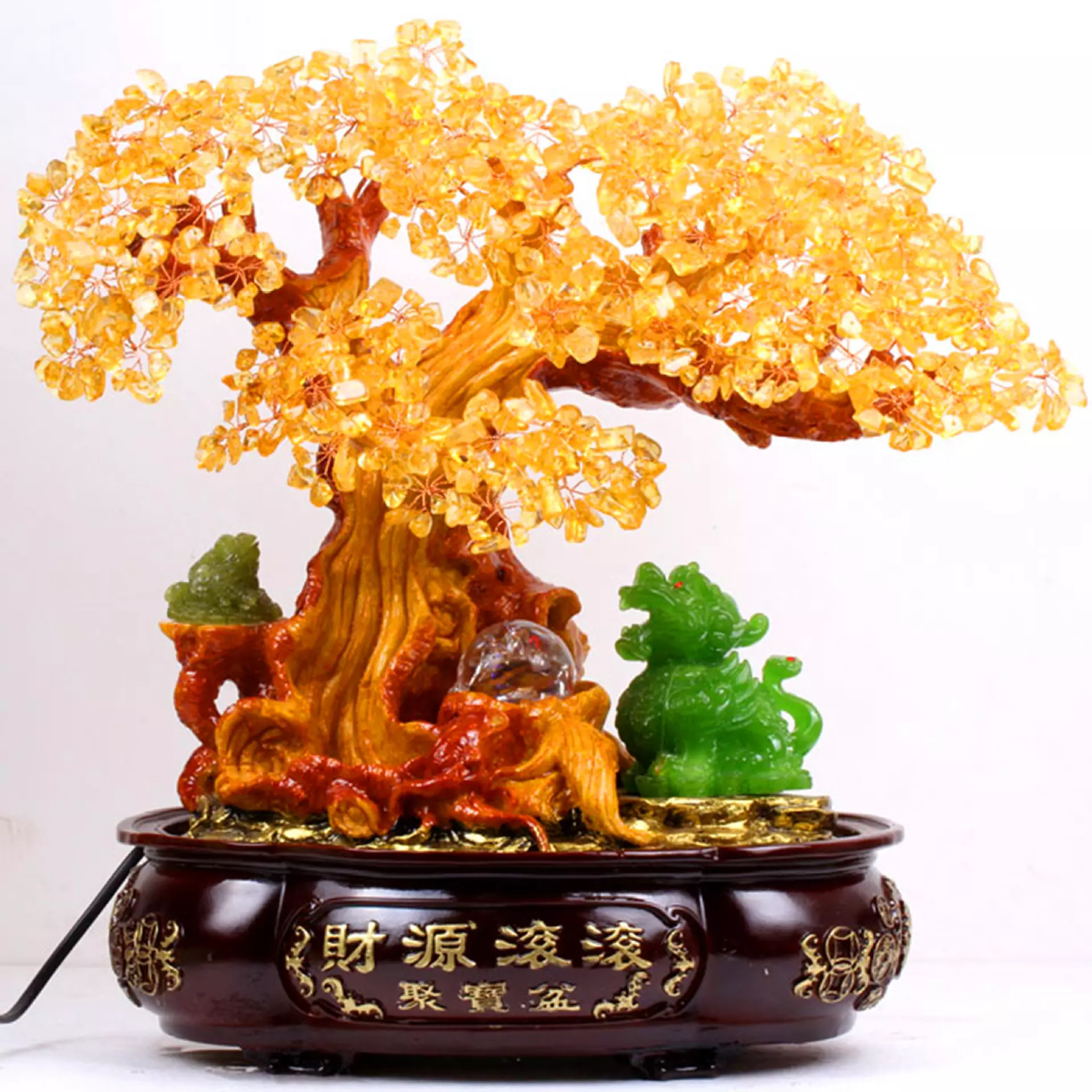 2、真正的招財樹圖片:拍發財樹的照片放在手機裏面可以招財嗎？