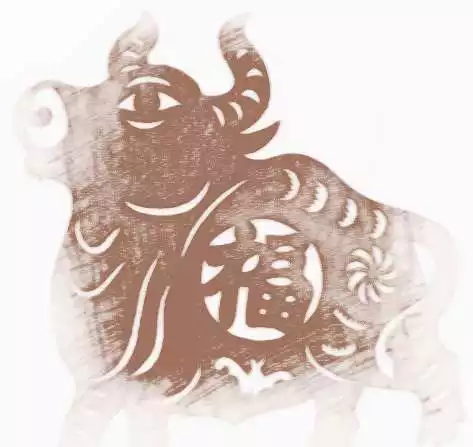 屬相是什麼生肖：年屬什麼生肖
