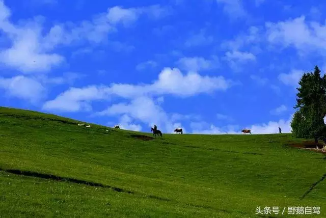六月二十號是什麼屬相：6月20號屬什麼星座？