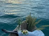 2、免費測子女緣:有沒有會測子女緣的，準不準
