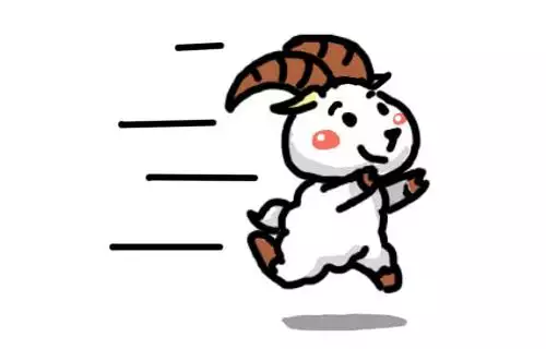 年多大歲數屬什麼：屬豬人全年運勢