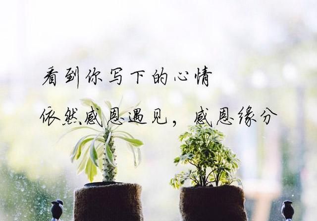 7、命定的緣分躲都躲不掉:緣分是不是你躲也躲不掉的