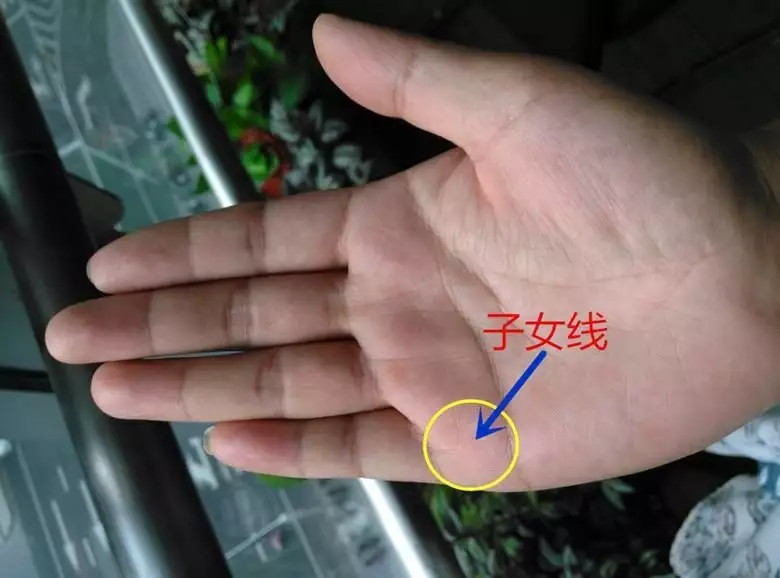 怎樣從手相上看出有幾個兒女：從手相那個地方可以看有幾個孩子
