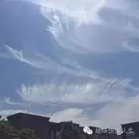 5、怎樣增加自己的和財運:新的彩雲有什麼特別之處嗎