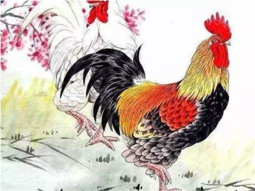 年大年頭一是什麼屬相：年1月出生是什麼屬相