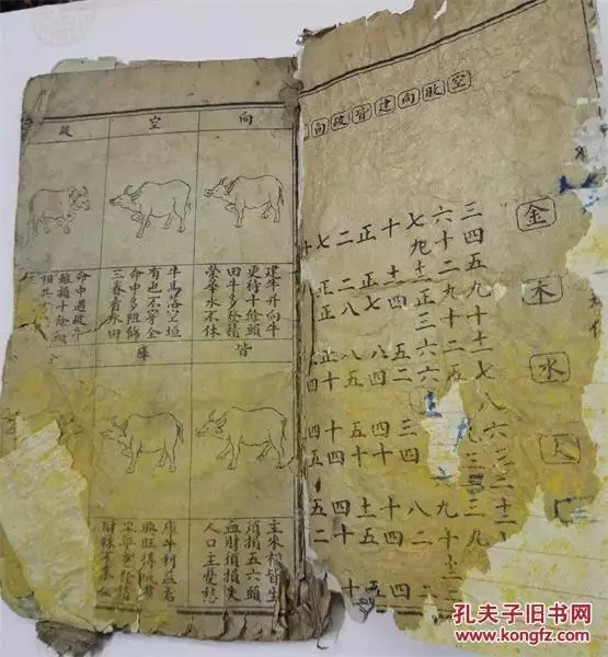 1、科學算命免費算命:科學算命背後的真相是什麼？