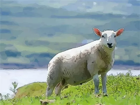67年屬什麼生肖的屬性：年出生屬相是什麼