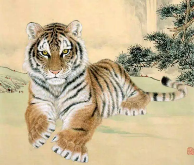 年的屬什麼生肖：74年出生的屬什麼生肖