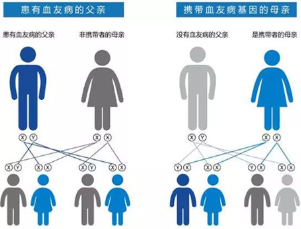 2、基因組合來婚配合適嗎:近親為什麼不宜婚配？