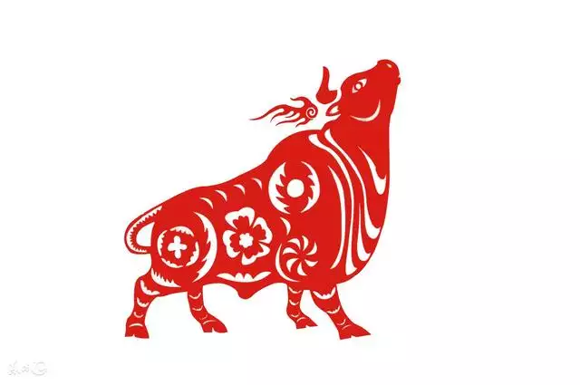 當大官最多的屬相是什麼：大官最多的屬相