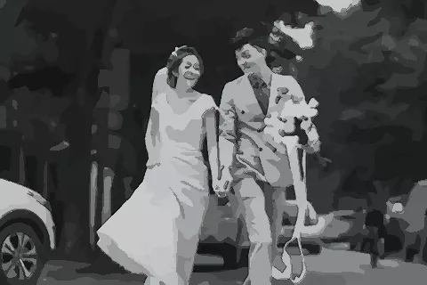 4、85年牛男婚配83年豬女:83年豬女和85年牛男配婚