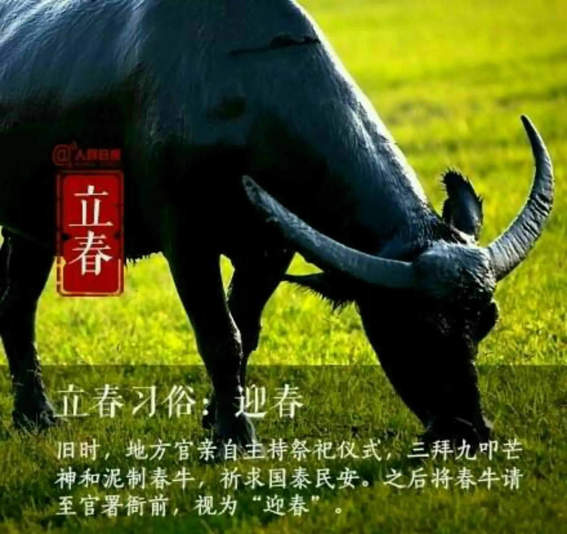 為什麼今天立春有差其餘時間？有的是十一點14分另有一個十七點過三分呢？