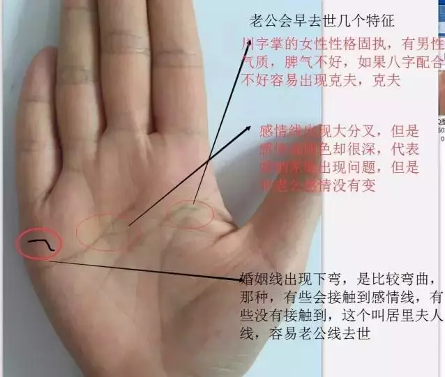 5、手相看有幾次婚姻:從手相可以看出有幾次婚姻嗎