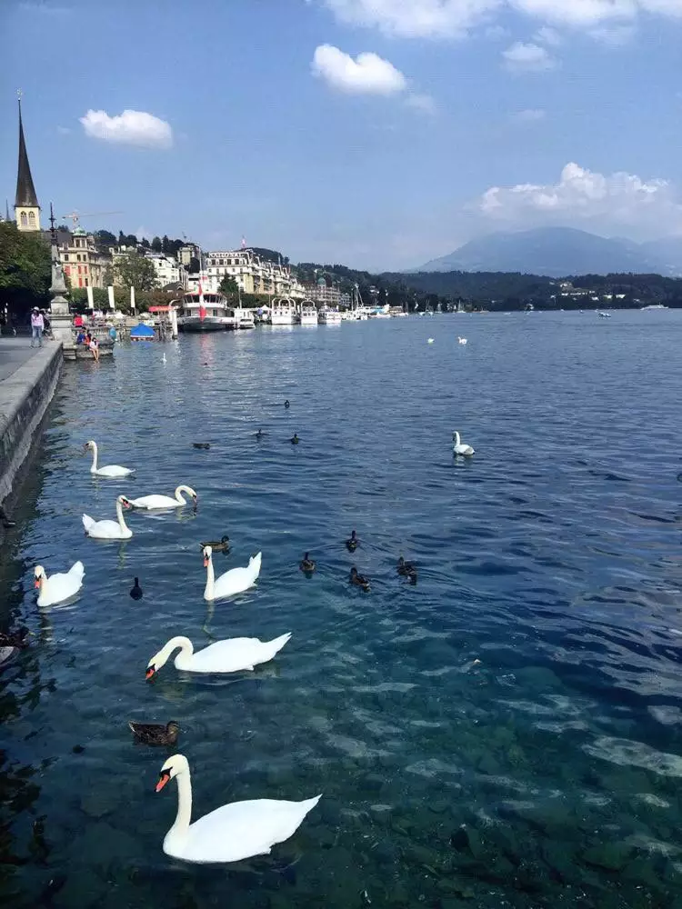 1、德國海淘網站哪個最靠譜:求推薦一個德國藥品海淘網站，一定要貨真價實！