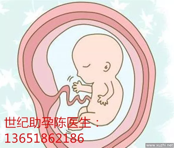 4、怎麼才能生兒子幾率高:如何才能生個兒子啊？？？