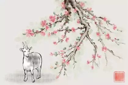 10、屬羊的女人今年婚姻怎麼樣了:六七年出生的女屬羊的婚姻一生怎麼樣
