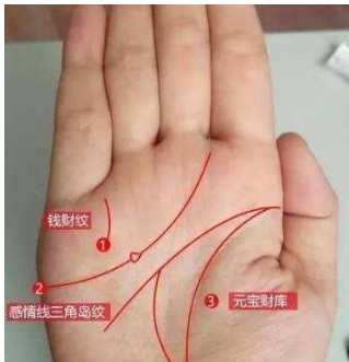 2、有兒子命的手相:從手相那個地方可以看有幾個孩子