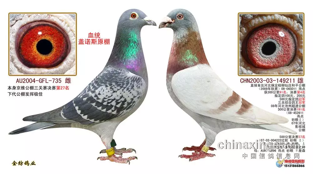 1、年屬虎六月十七子時婚配:86年屬虎的配偶