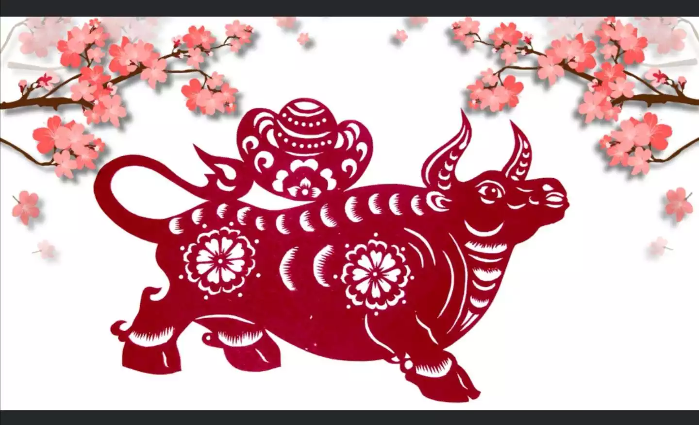 2、兔年出生的人牛年運氣如何:牛年屬兔運勢年運勢