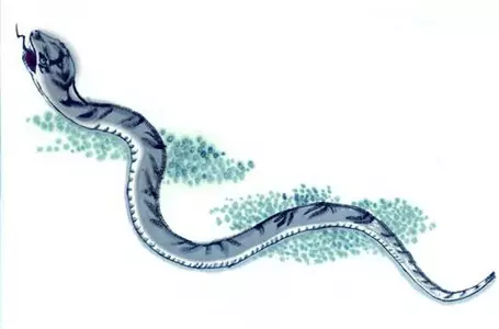 1、屬蛇人一生佩戴什麼好:屬蛇的佩戴什麼吊墜好