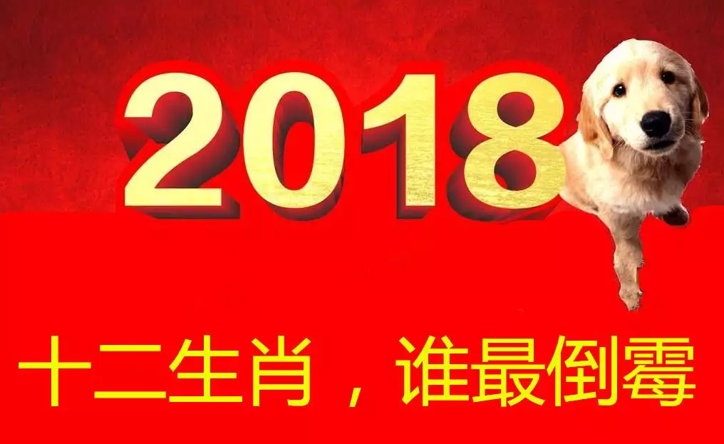 1、一年運勢查詢免費:算一年的運勢
