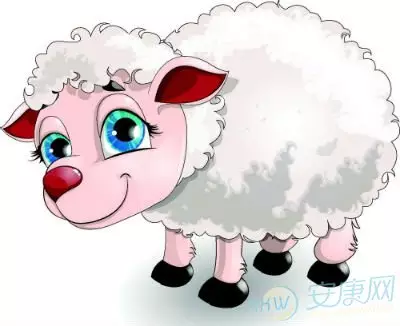 4、屬羊的和屬羊的婚姻合適嗎:屬羊的婚姻配什麼屬相好