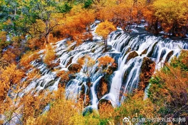 2、十一月鼠和臘月的牛婚配嗎:臘月鼠和幾月牛最配