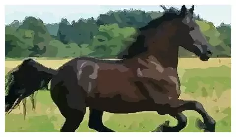 3、屬馬下半年財運如何年:屬馬人年運勢及運程每月運程
