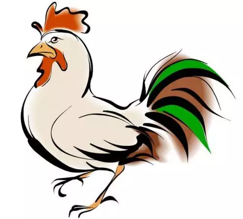 屬什麼屬相屬雞性命壽命：屬雞人的命格與運勢是怎樣的