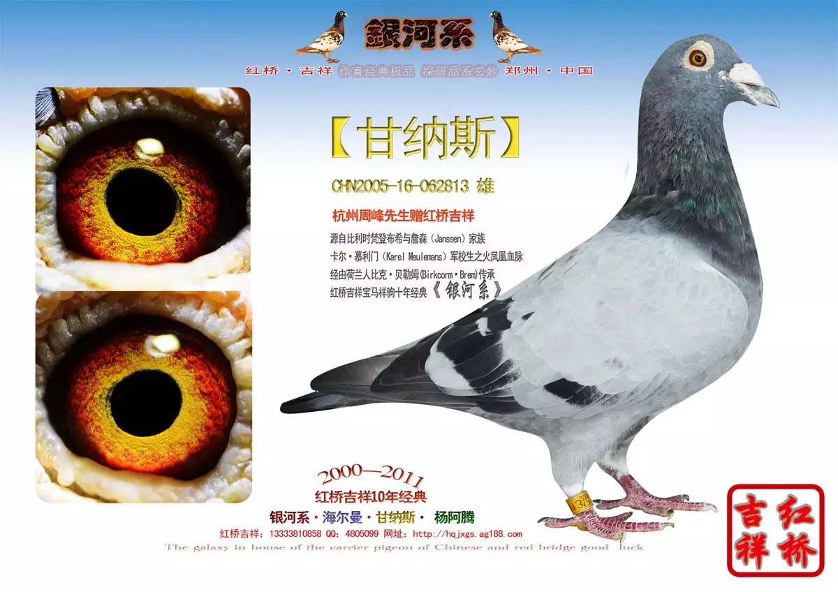 年生的屬什麼生肖：年出生生肖屬什麼