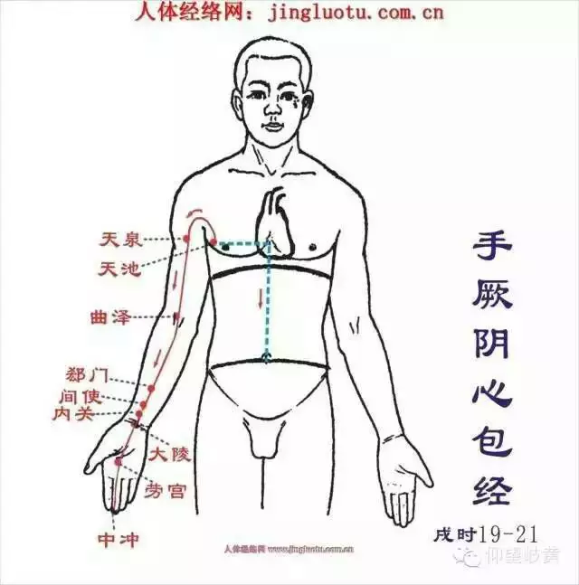 各個屬相對應身體疾病：十二生肖對應的十二臟器是那些？