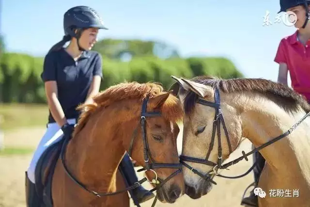 3、78年8月的馬性格和婚配:78年馬和77年蛇配婚嗎？