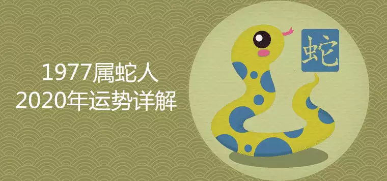 2025年是蛇年哪個屬相運氣好：屬蛇2025年的運勢是不是欠好