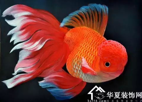 2、運氣不好的10個先兆:財運來了擋都擋不住 運氣來了有什麼徵兆 氣來了擋