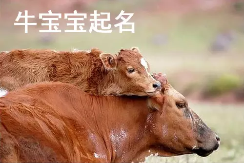 網名大全最新版的男：好聽的微信名字最新版的有哪些？